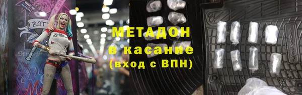 трава Корсаков
