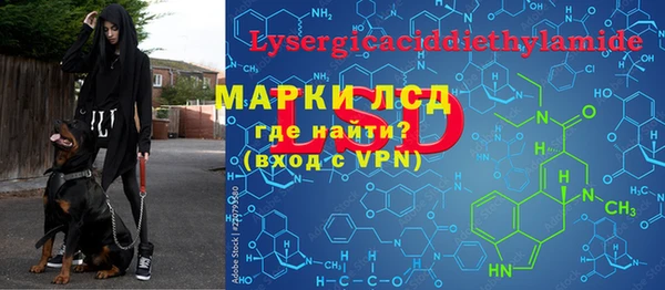 трава Корсаков