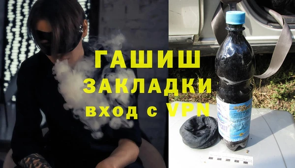 трава Корсаков